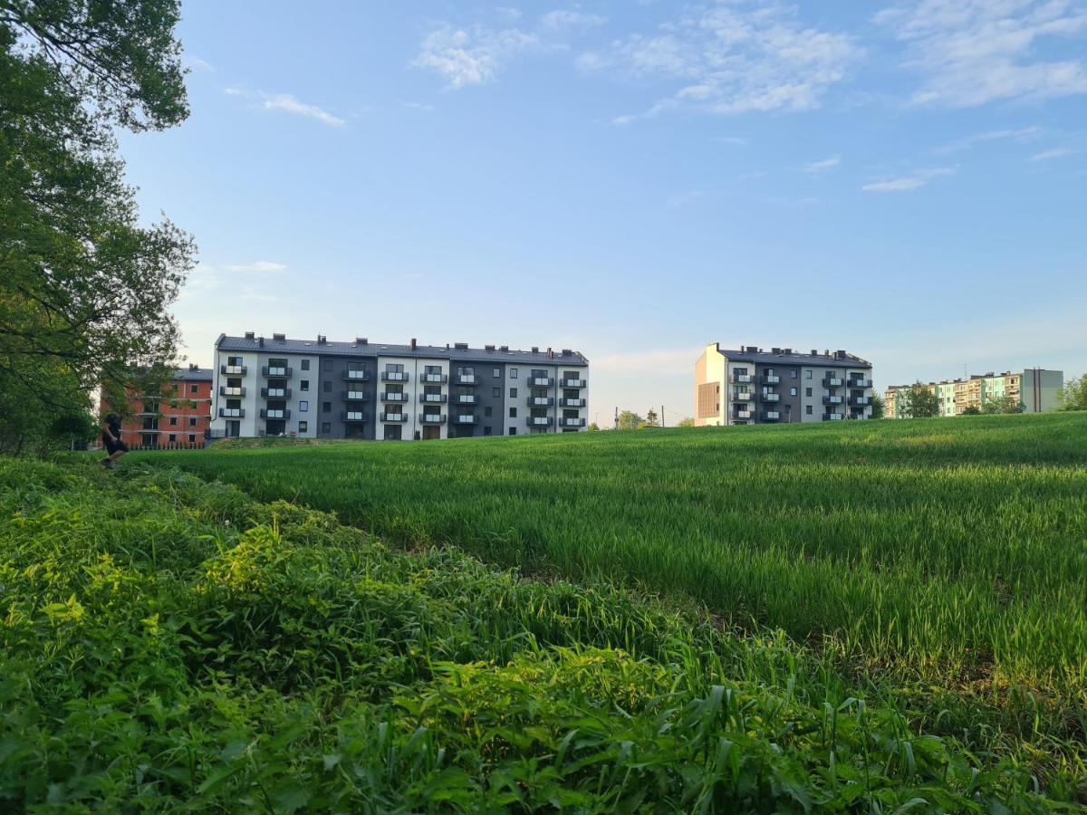 Zlota Widokowka * Jaworze