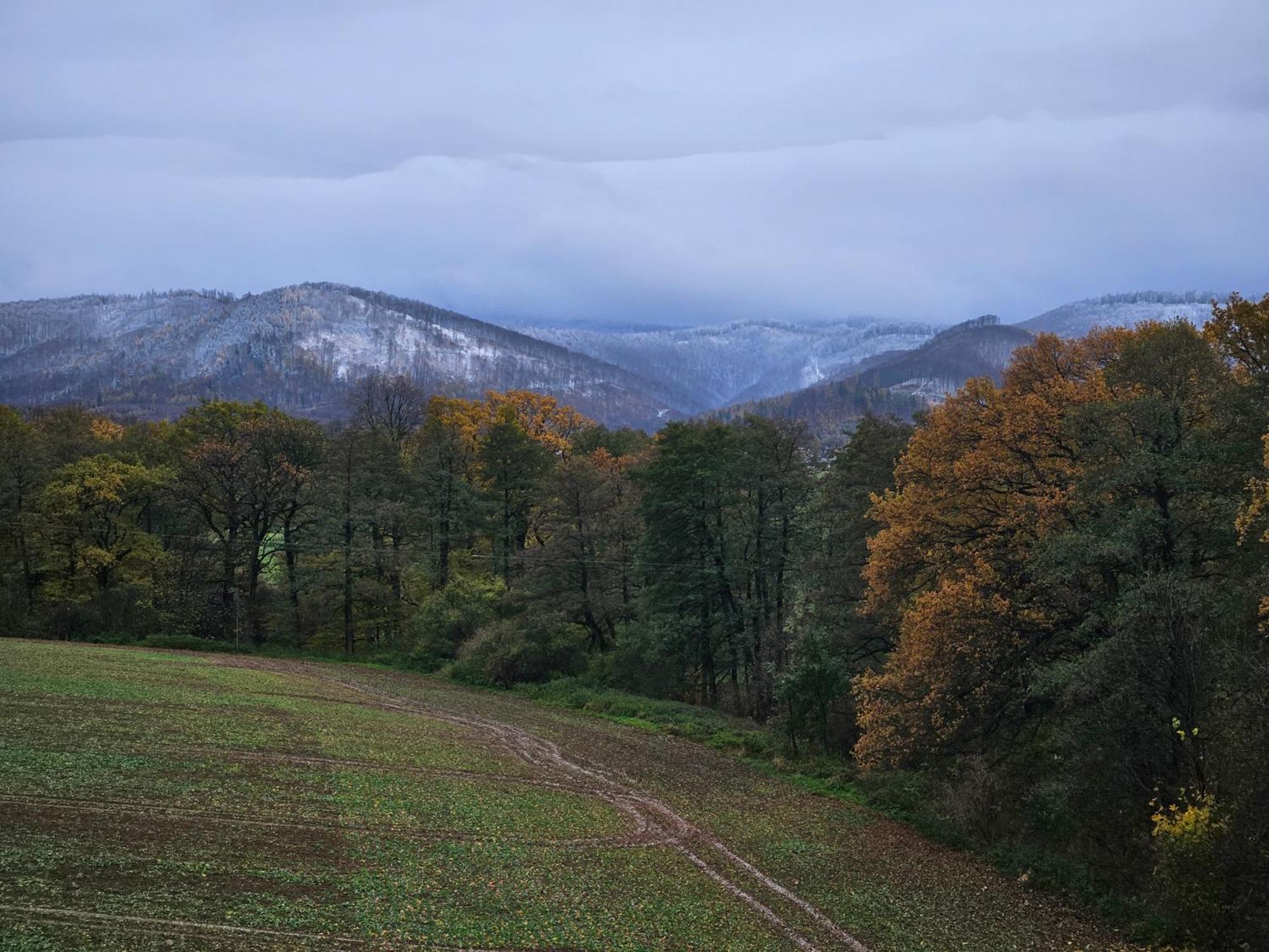 Zlota Widokowka Jaworze