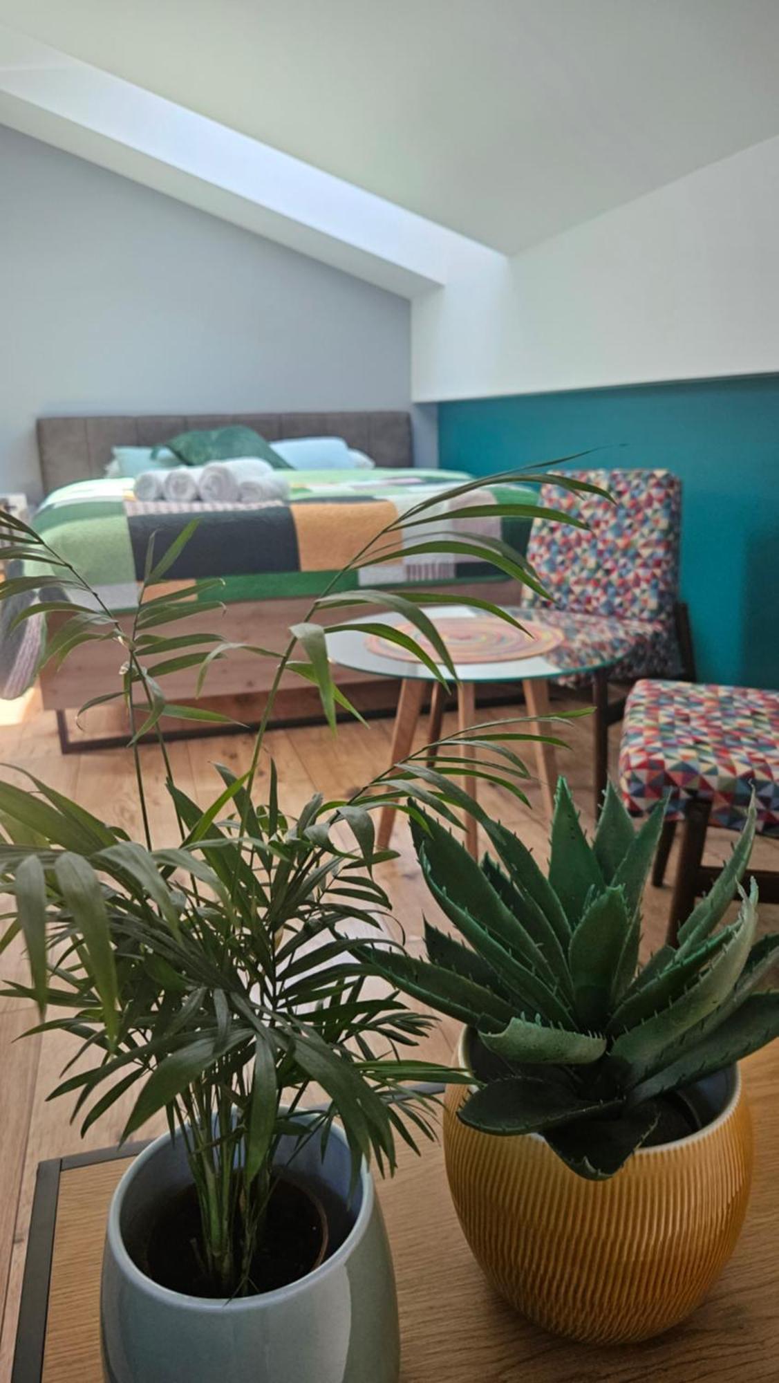 Zlota Widokowka Apartment